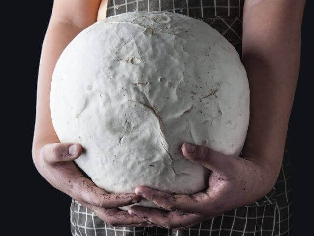 giant puffball held in hands