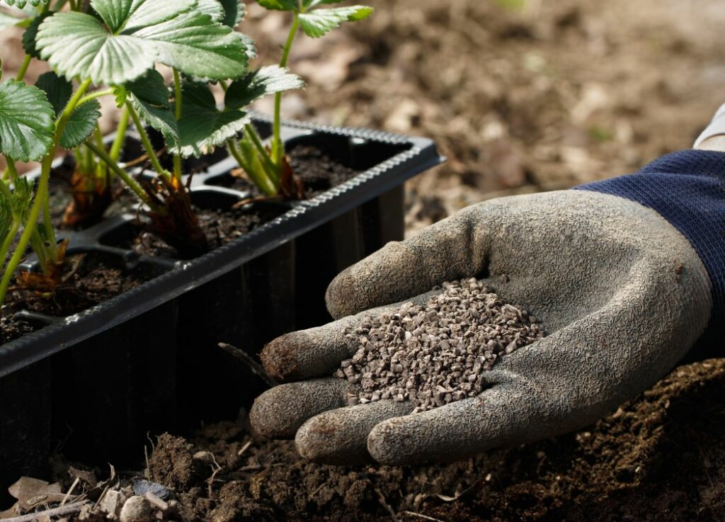 Humic Substances in the Environment