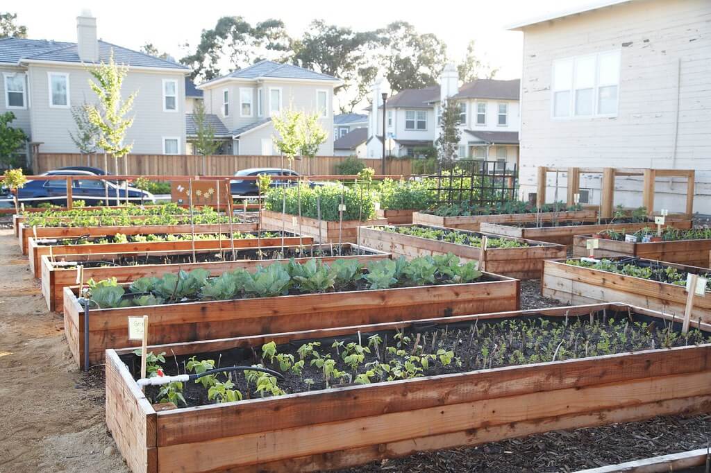 Benefits of a Raised Garden Bed