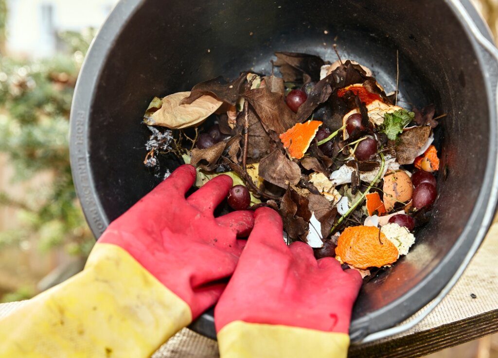Highly Recommended Compost Bins for Apartment Use