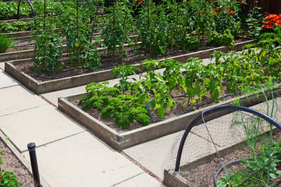 How to Protect Raised Garden Beds